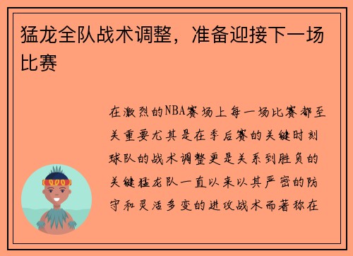 猛龙全队战术调整，准备迎接下一场比赛